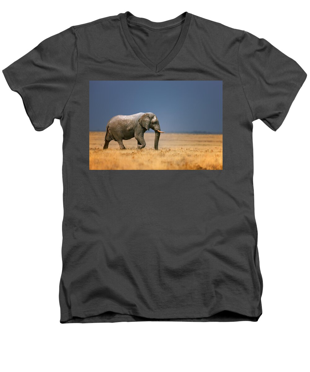 Walk Men's V-Neck T-Shirt featuring the photograph Elephant in grassfield by Johan Swanepoel