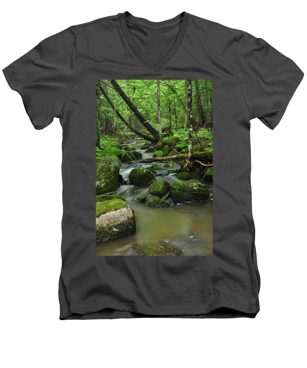 Forest Men's V-Neck T-Shirt featuring the photograph Emerald Forest by Glenn Gordon