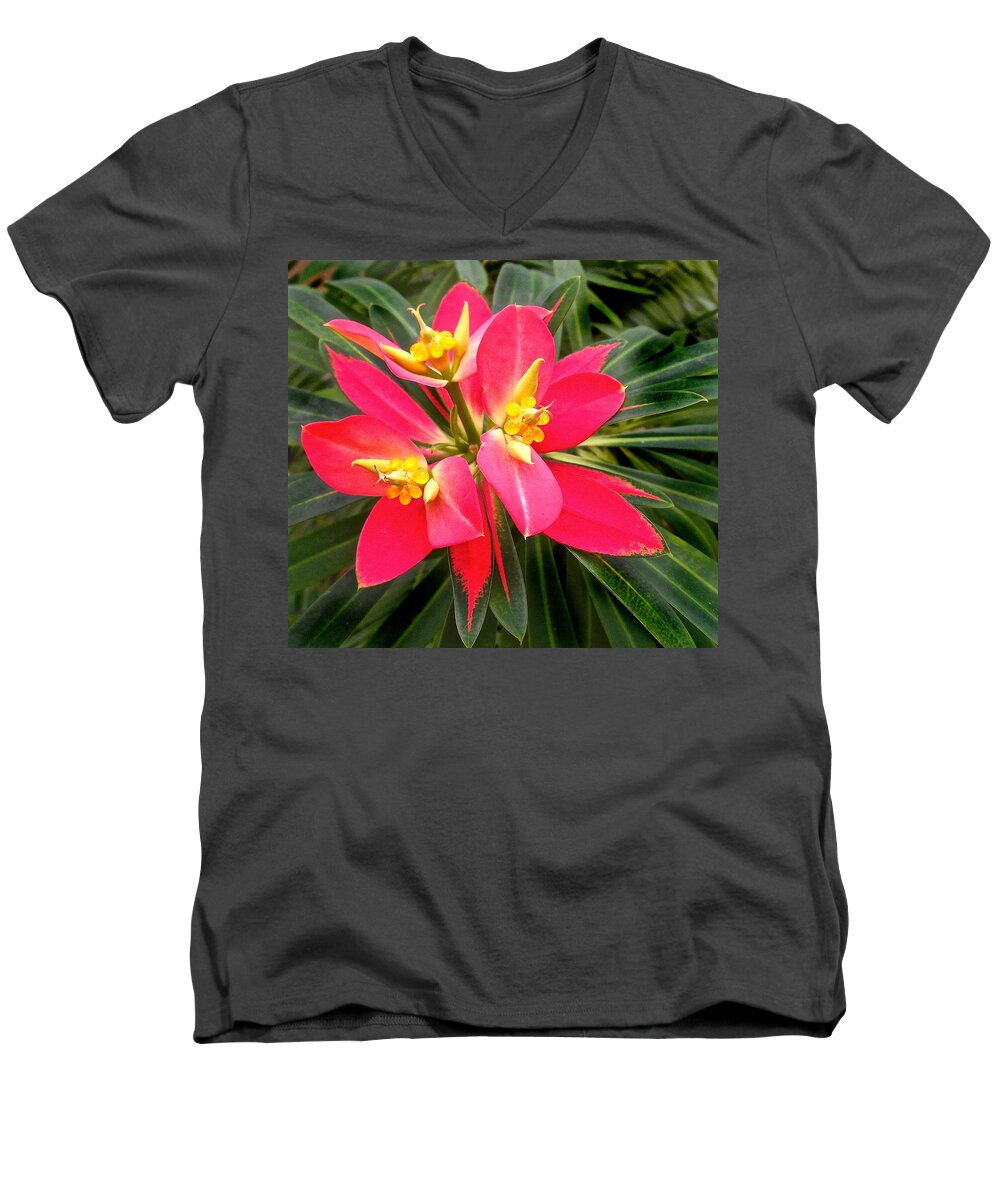 Beautiful Men's V-Neck T-Shirt featuring the photograph Exotic red flower by Joan Reese