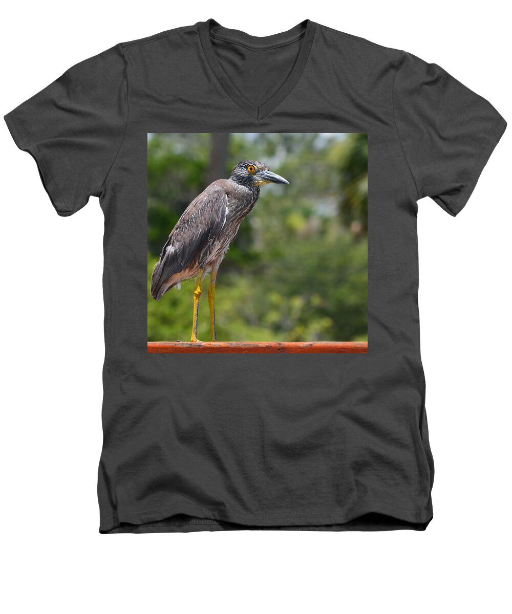 Heron Men's V-Neck T-Shirt featuring the photograph Eye to Lens by DigiArt Diaries by Vicky B Fuller