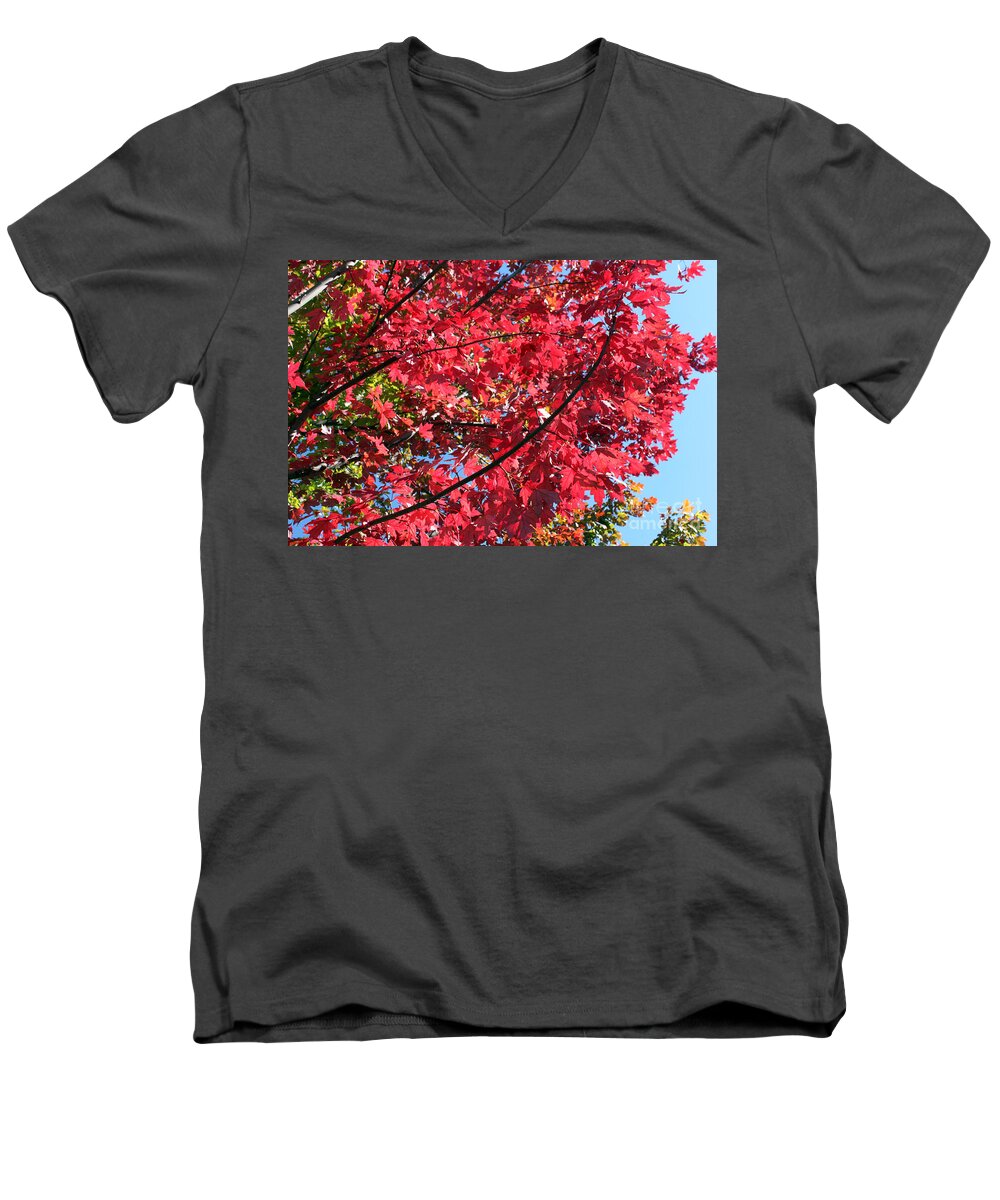 Landscape Men's V-Neck T-Shirt featuring the photograph Fall in Illinois by Debbie Hart