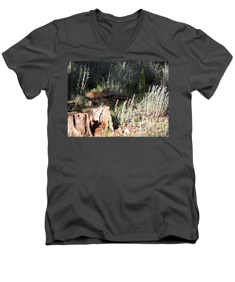 Animal Men's V-Neck T-Shirt featuring the photograph Fawn Front Yard Divide CO by Margarethe Binkley