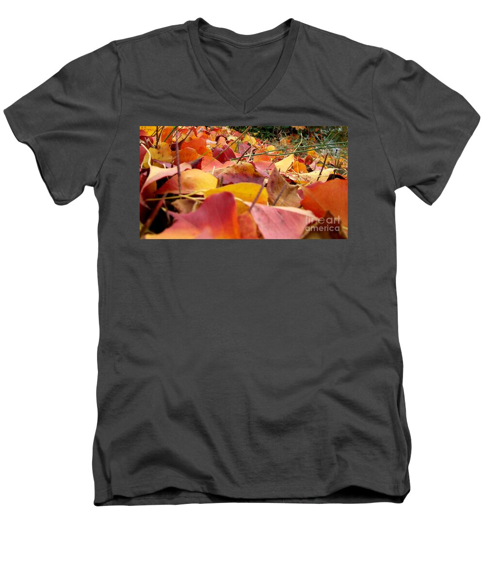 Fall Men's V-Neck T-Shirt featuring the photograph First day of fall by Andrea Anderegg