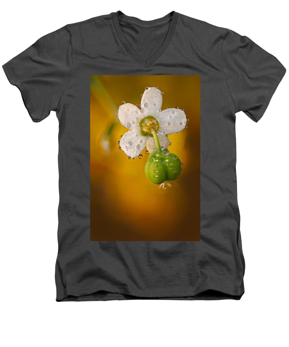 2012 Men's V-Neck T-Shirt featuring the photograph Flowering Spurge by Robert Charity