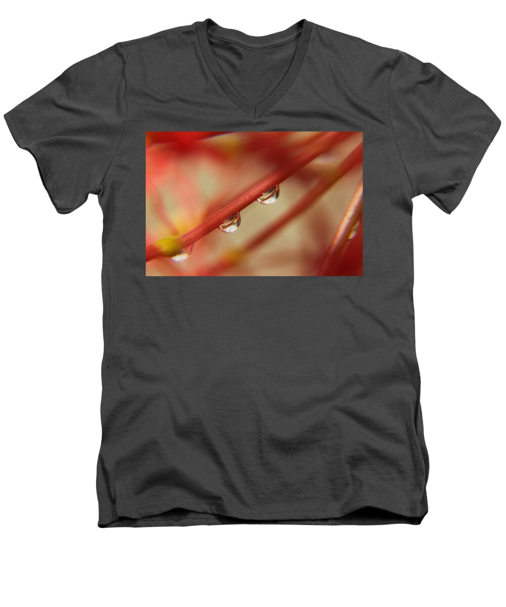 Droplet Men's V-Neck T-Shirt featuring the photograph For Your Eyes Only by Ramabhadran Thirupattur