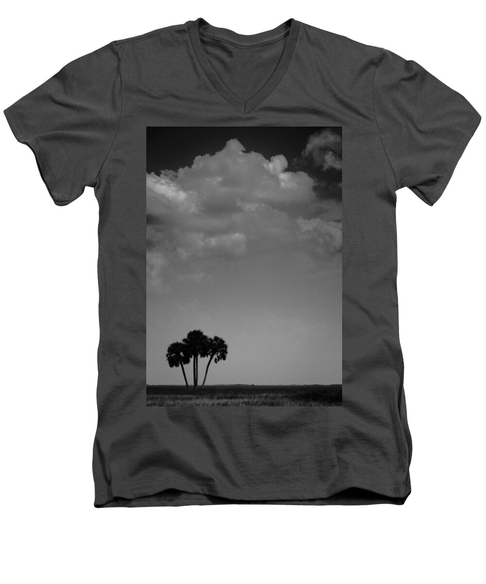 Palm Men's V-Neck T-Shirt featuring the photograph Four Palms by Bradley R Youngberg
