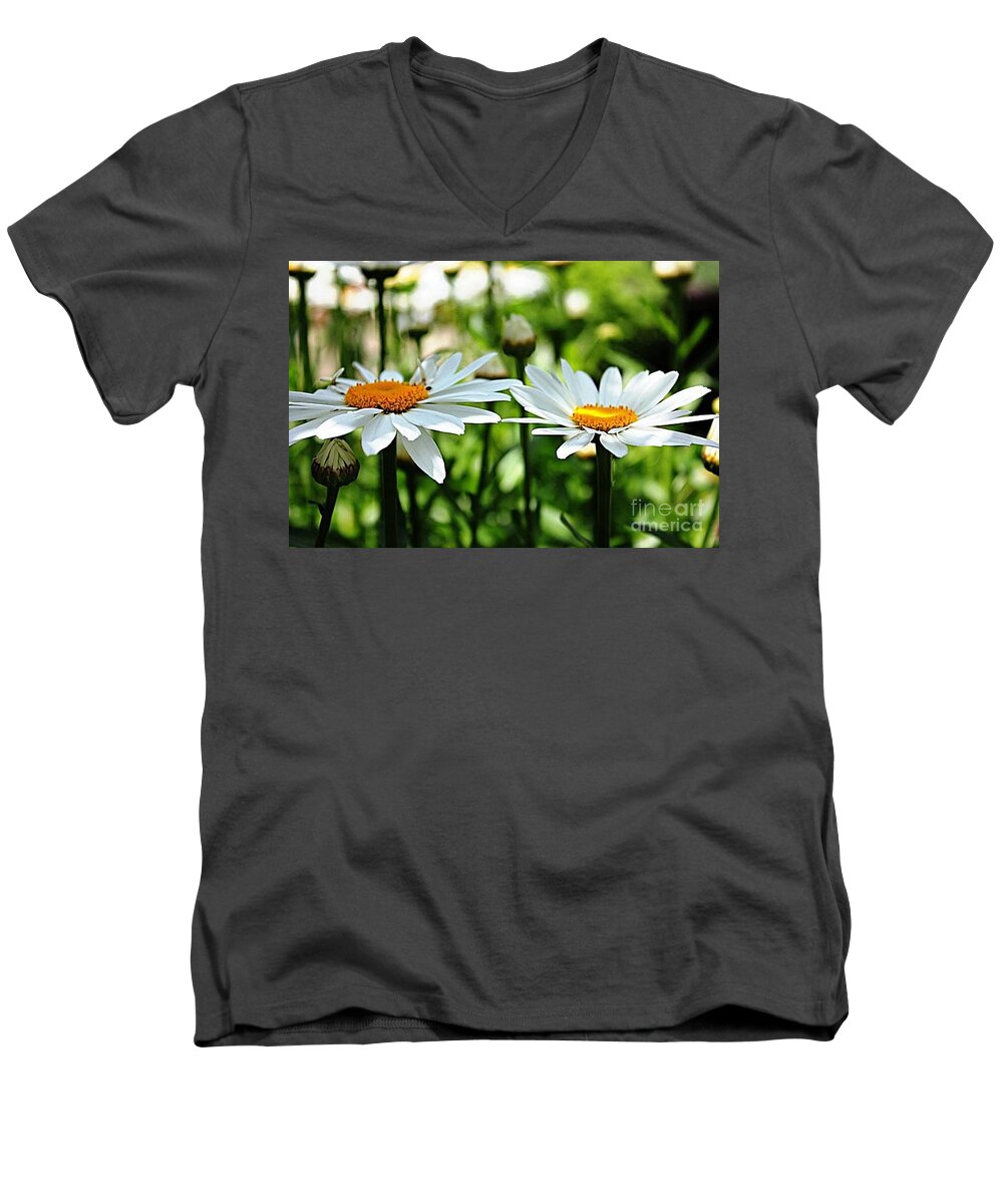 Daisy Men's V-Neck T-Shirt featuring the photograph Fresh As A Daisy by Judy Palkimas