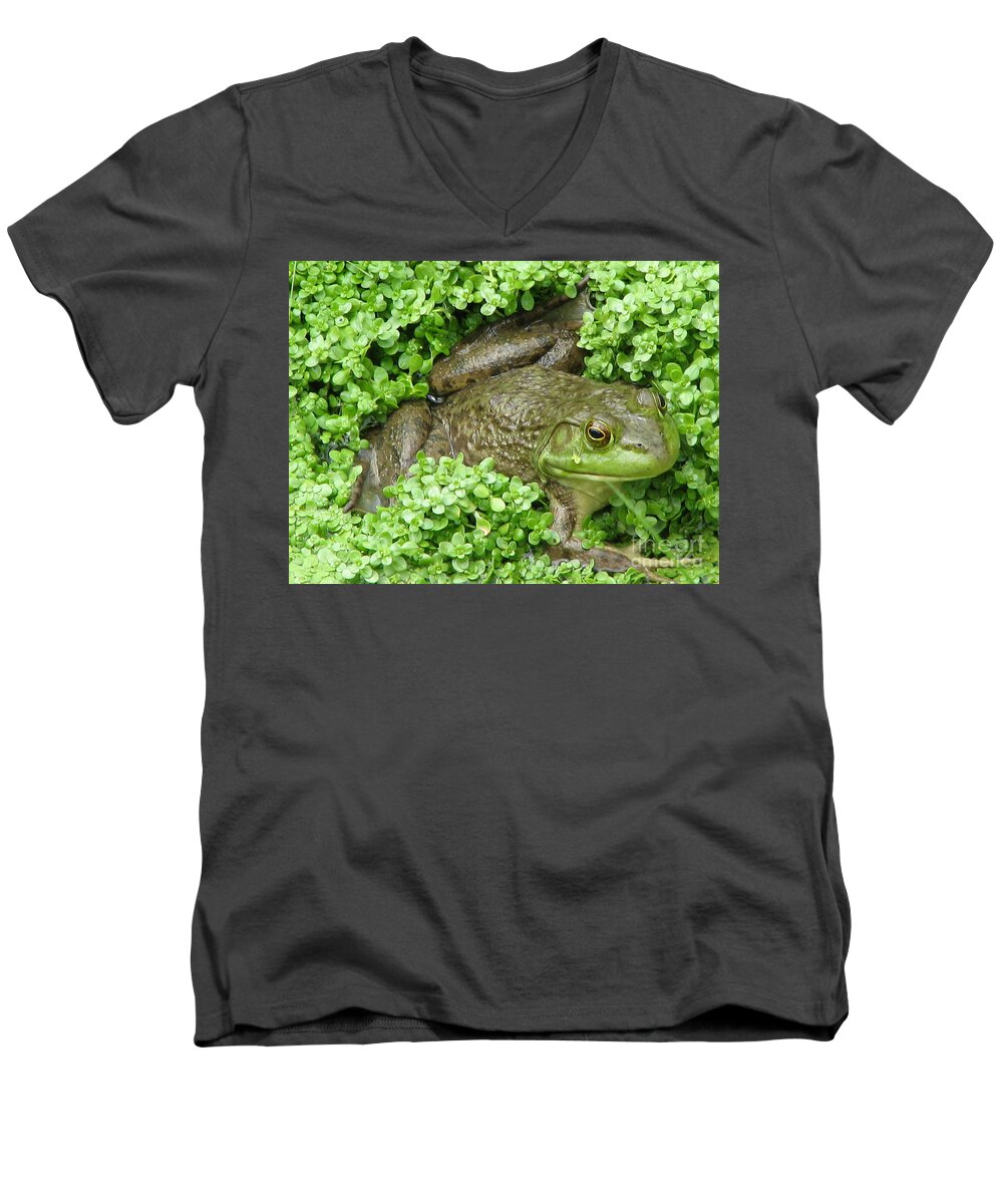 Frog Men's V-Neck T-Shirt featuring the photograph Frog by DejaVu Designs