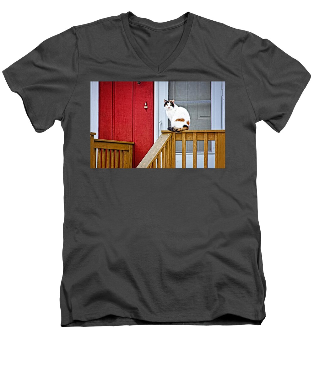 Cat Men's V-Neck T-Shirt featuring the photograph Front Porch Cat by Donna Doherty