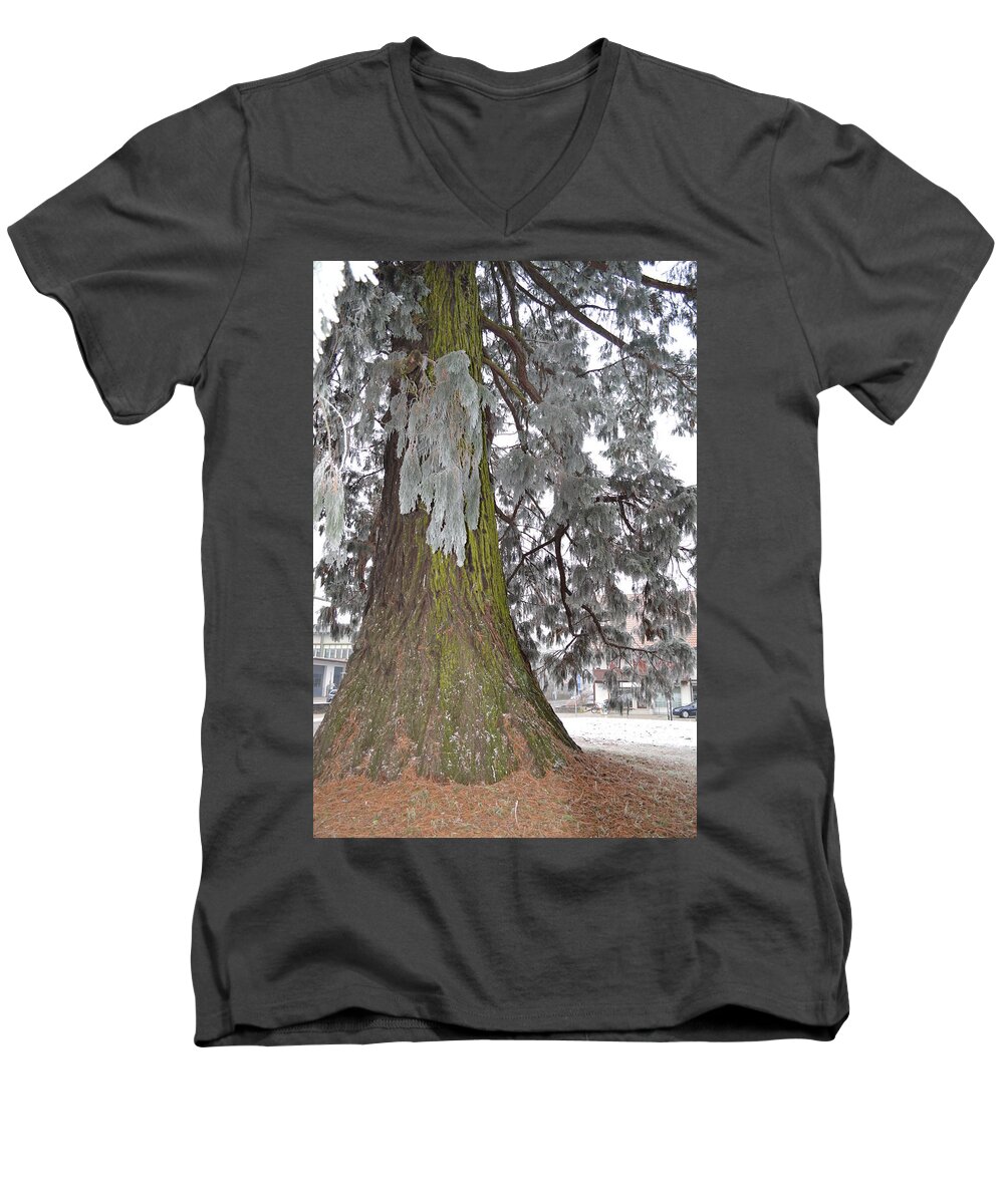 Nature Men's V-Neck T-Shirt featuring the photograph Frost on the leaves by Felicia Tica
