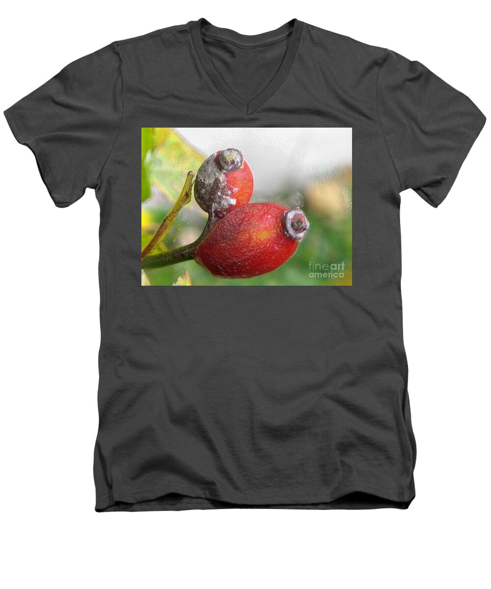 Frost Men's V-Neck T-Shirt featuring the photograph Frosted Rosehips by Nina Silver