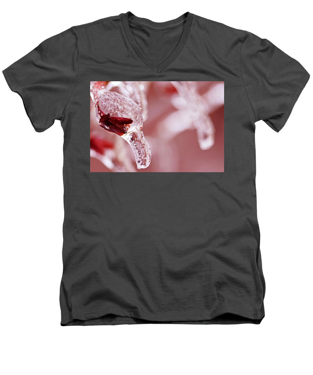 Fruit Men's V-Neck T-Shirt featuring the photograph Frozen Jewel by Debbie Oppermann