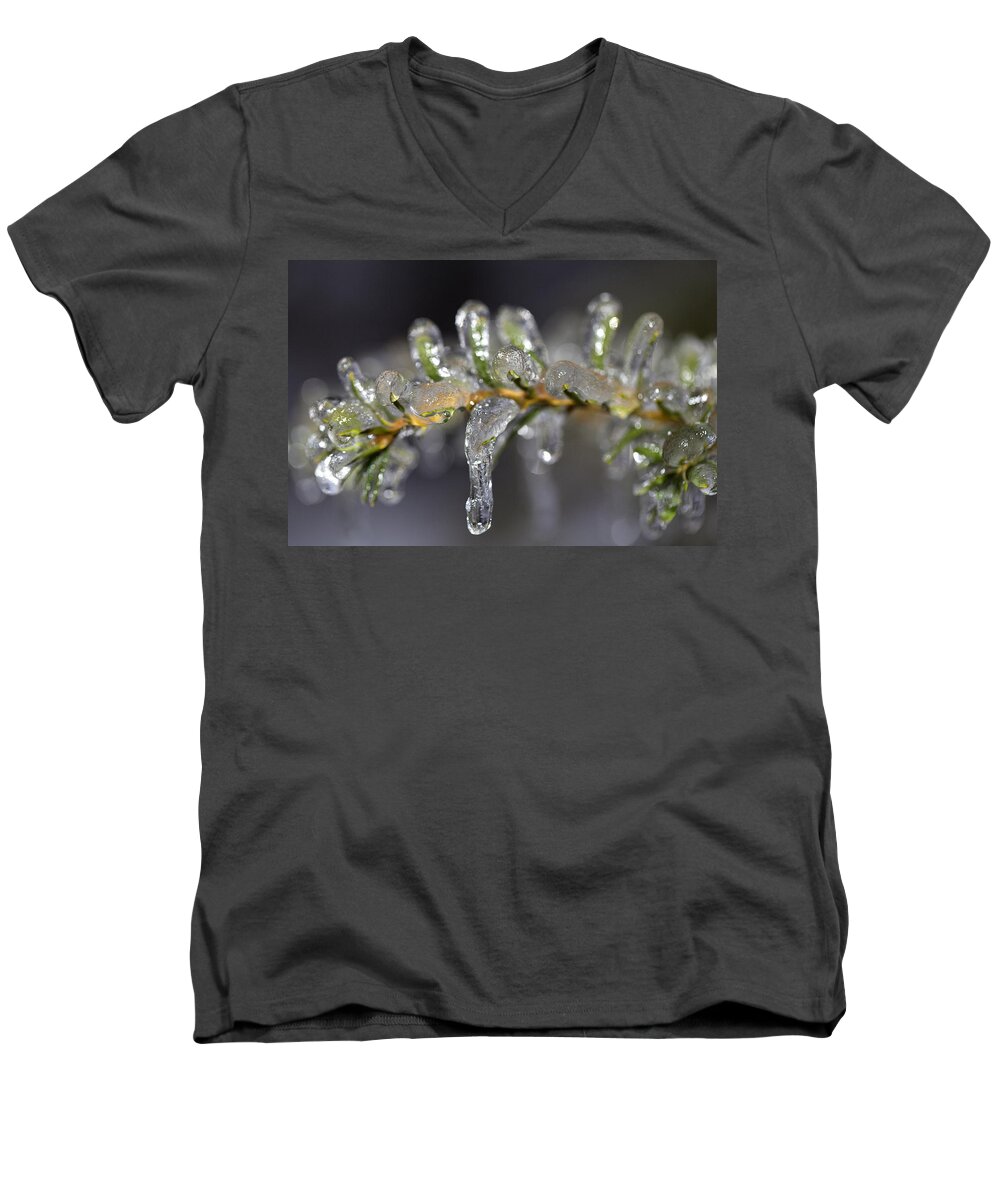 Yew Men's V-Neck T-Shirt featuring the photograph Frozen Yew by Eunice Gibb