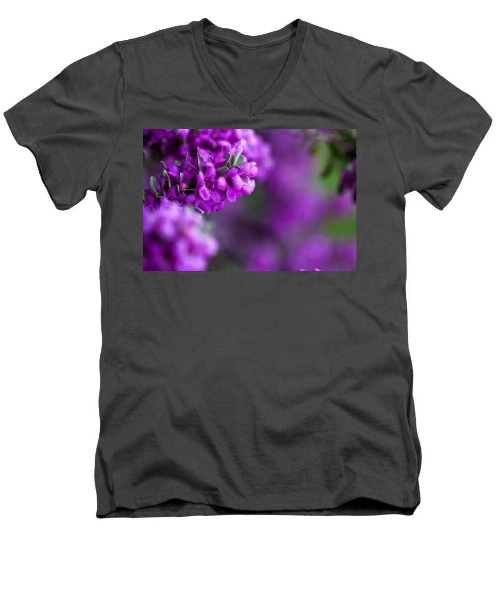 Texas Sage Men's V-Neck T-Shirt featuring the photograph Full Bloom by Mark Alder