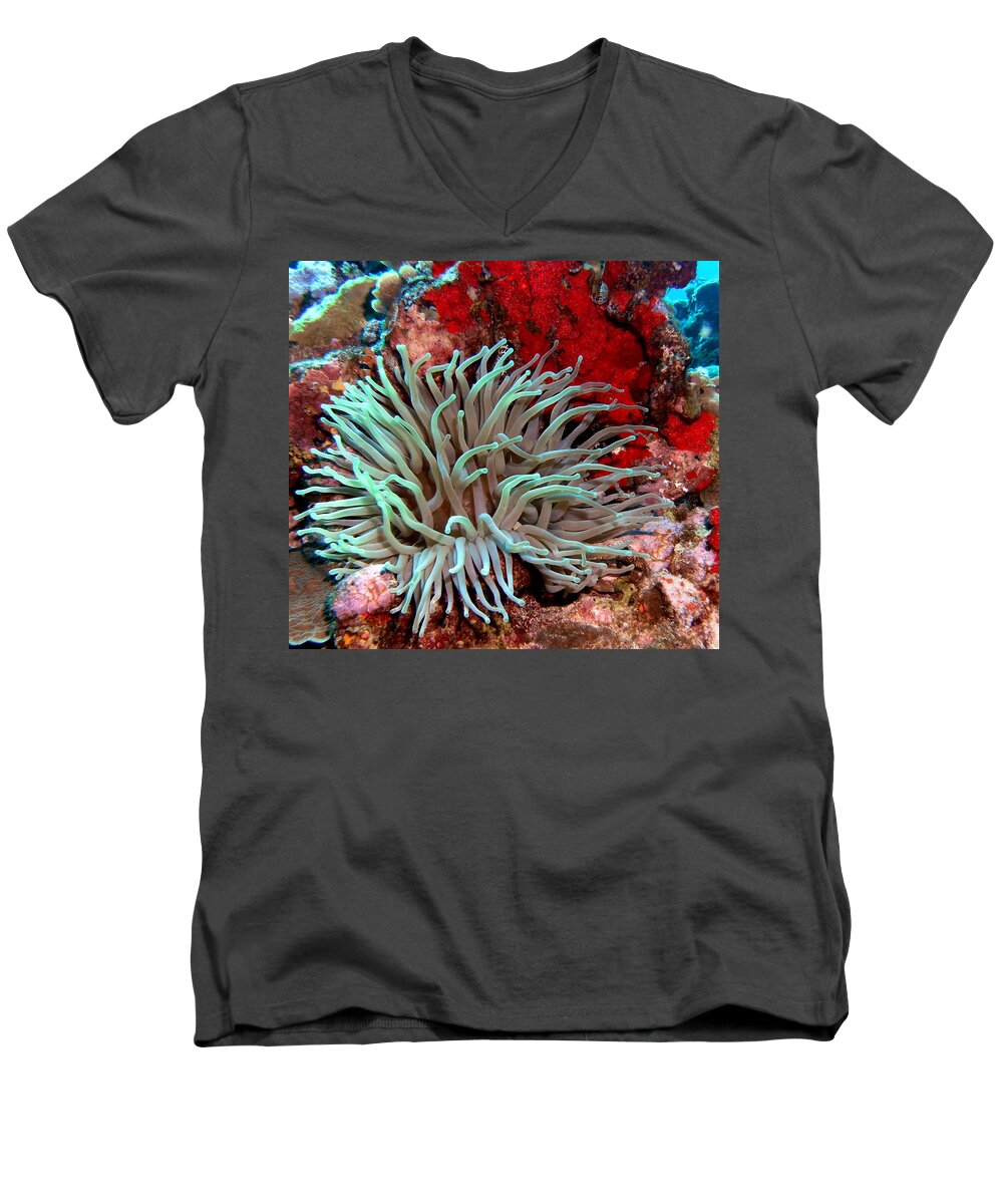 Nature Men's V-Neck T-Shirt featuring the photograph Giant Green Sea Anemone against Red Coral by Amy McDaniel
