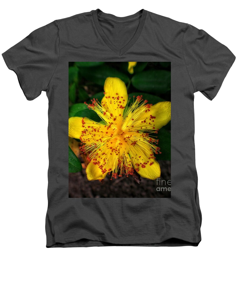 Flower Men's V-Neck T-Shirt featuring the photograph Yellow and Red in a Sea of Green by Doc Braham