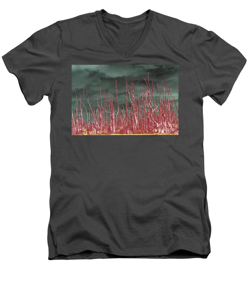 Trees Men's V-Neck T-Shirt featuring the photograph Glowing Trees 2 by Anthony Wilkening