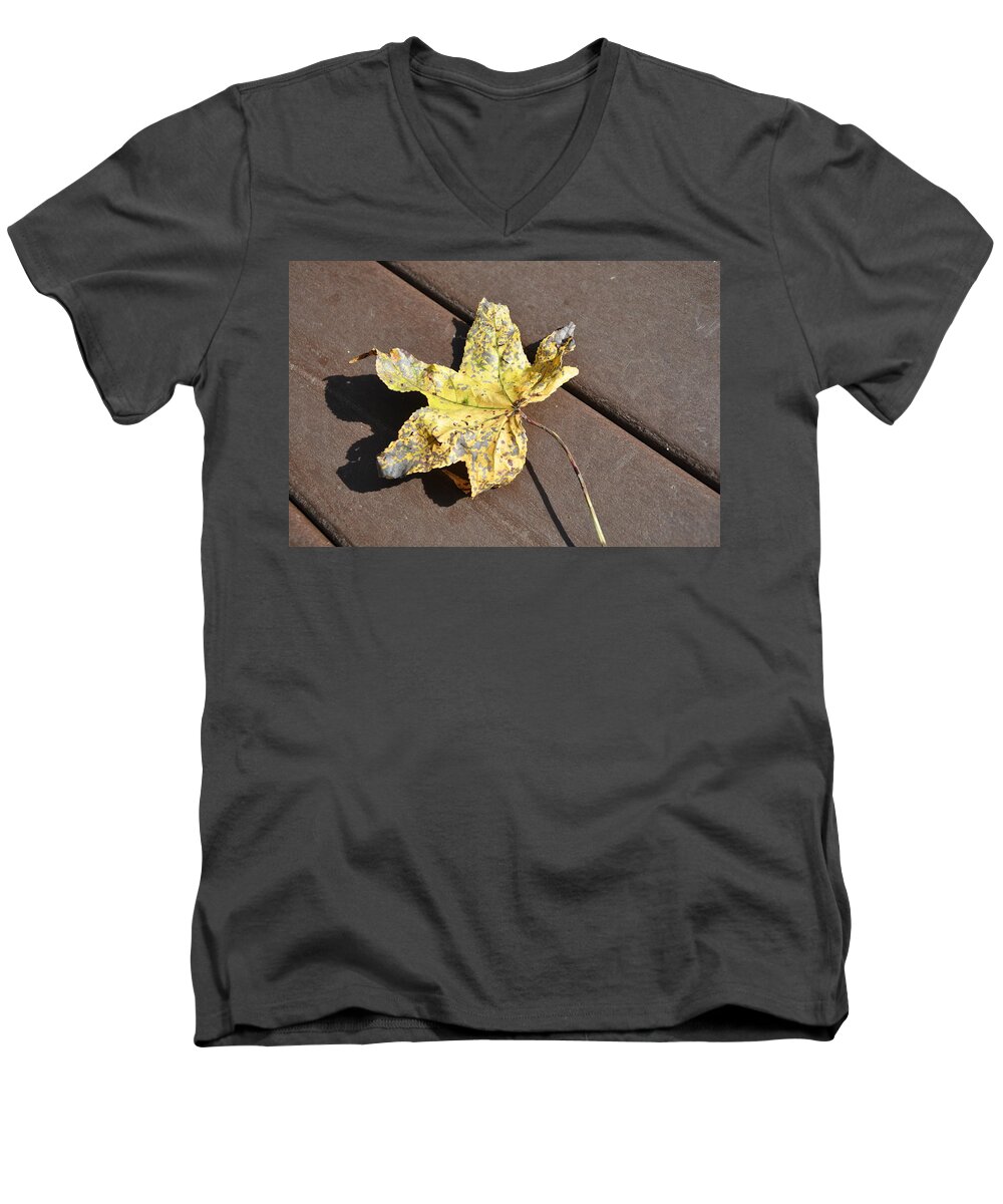 Gold Men's V-Neck T-Shirt featuring the photograph Gold Leaf by Frank Madia