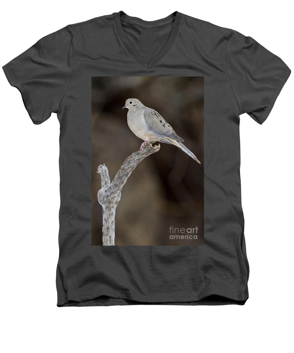 Dove Men's V-Neck T-Shirt featuring the photograph Good Mourning by Bryan Keil