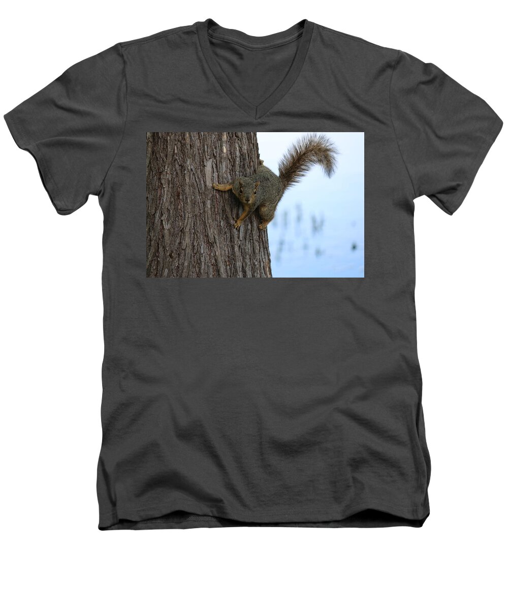  Men's V-Neck T-Shirt featuring the photograph Lookin' for Nuts by Christy Pooschke
