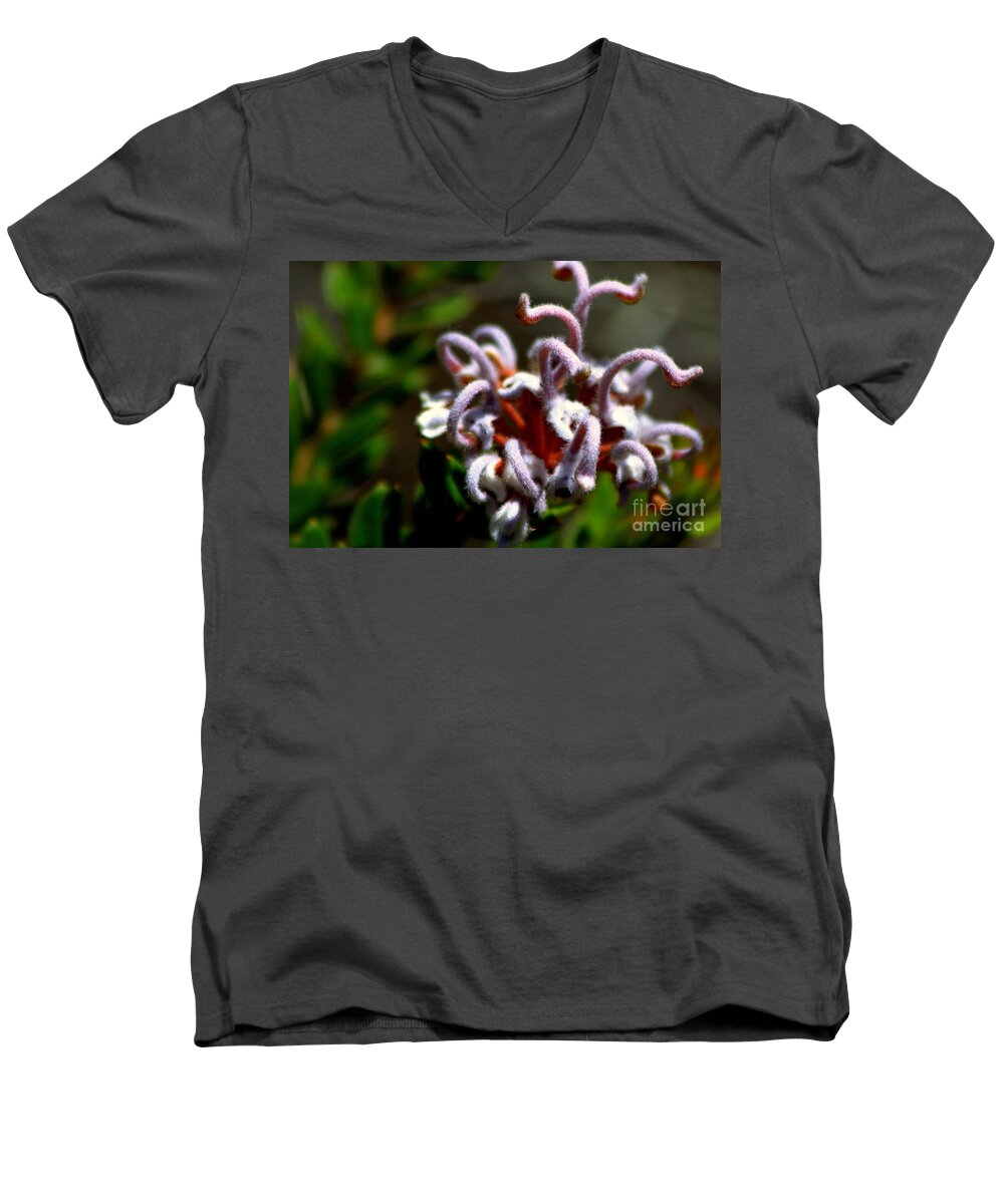 #great Spider Flower Men's V-Neck T-Shirt featuring the photograph Great spider flower by Miroslava Jurcik
