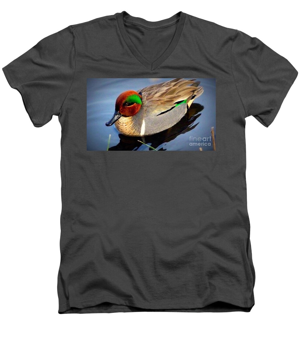 Bird Refuge Green Winged Teal Male Duck Men's V-Neck T-Shirt featuring the photograph Green Winged Teal Duck by Susan Garren