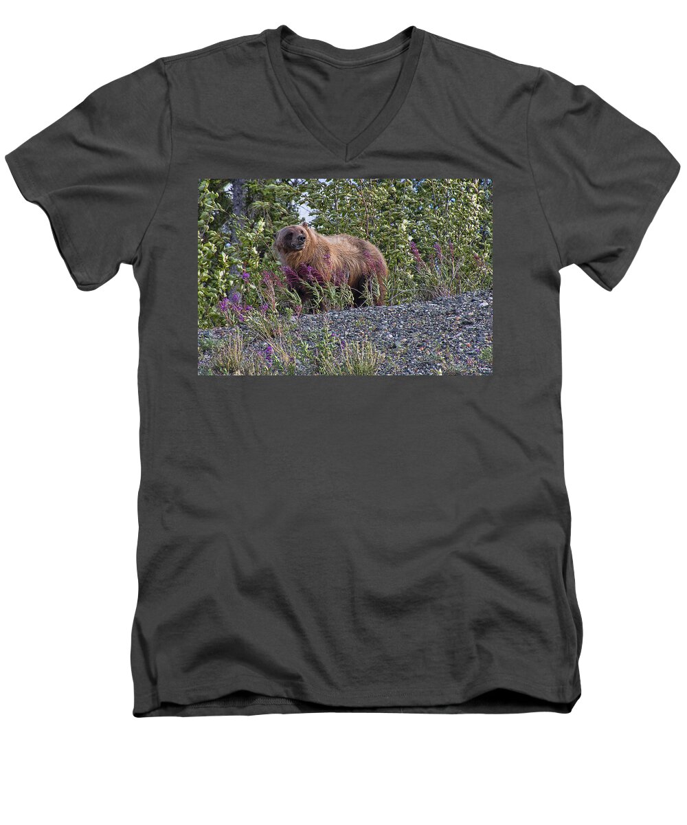 Grizzly Men's V-Neck T-Shirt featuring the photograph Grizzly by David Gleeson