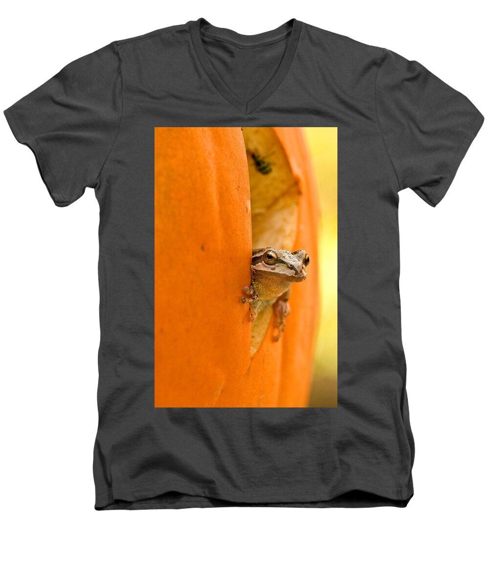 Frog Men's V-Neck T-Shirt featuring the photograph Halloween surprise by Jean Noren