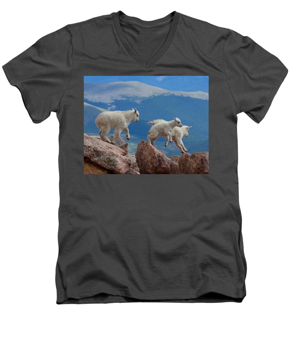 Mountain Goats; Posing; Group Photo; Baby Goat; Nature; Colorado; Crowd; Baby Goat; Mountain Goat Baby; Happy; Joy; Nature; Brothers Men's V-Neck T-Shirt featuring the photograph Happy Landing by Jim Garrison