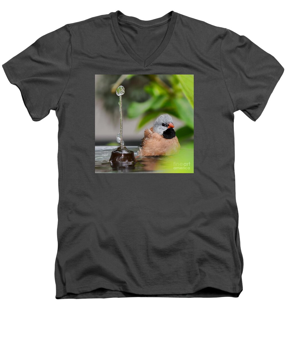 Heck's Grassfinch Men's V-Neck T-Shirt featuring the photograph Heck's Grassfinch Bath Time by Olga Hamilton