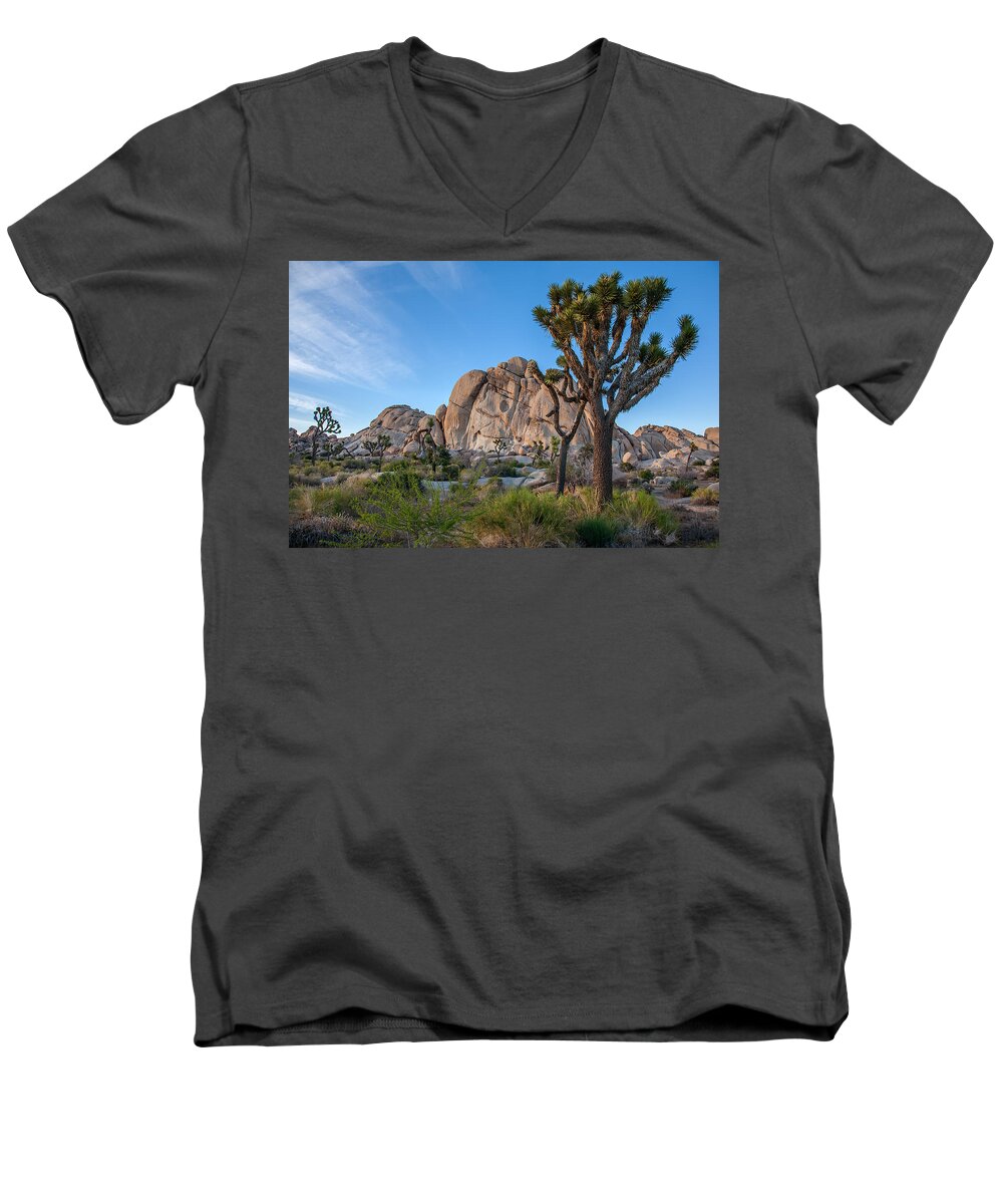 California Men's V-Neck T-Shirt featuring the photograph Hidden Valley by Peter Tellone