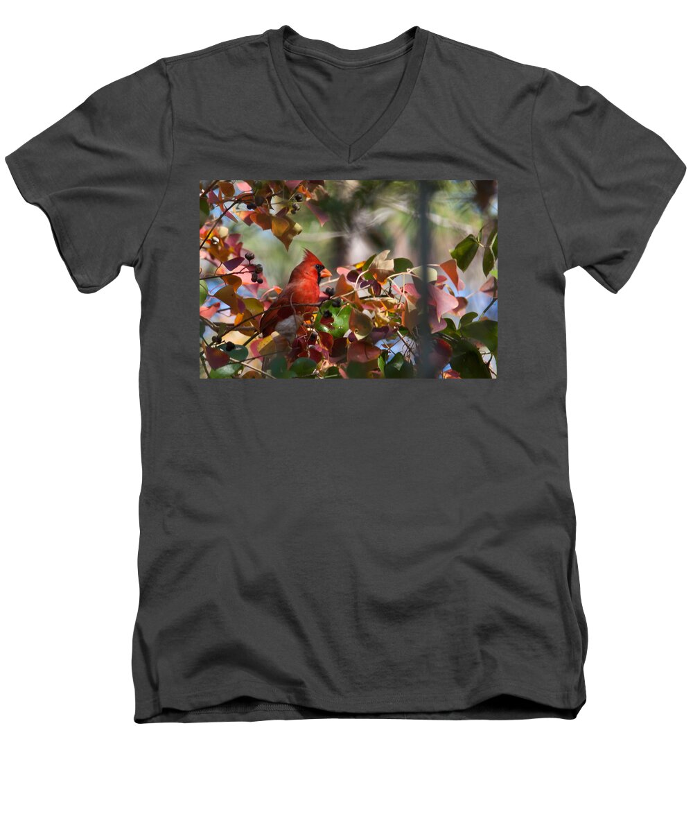 Redbird Men's V-Neck T-Shirt featuring the digital art Hiding Away by Linda Unger