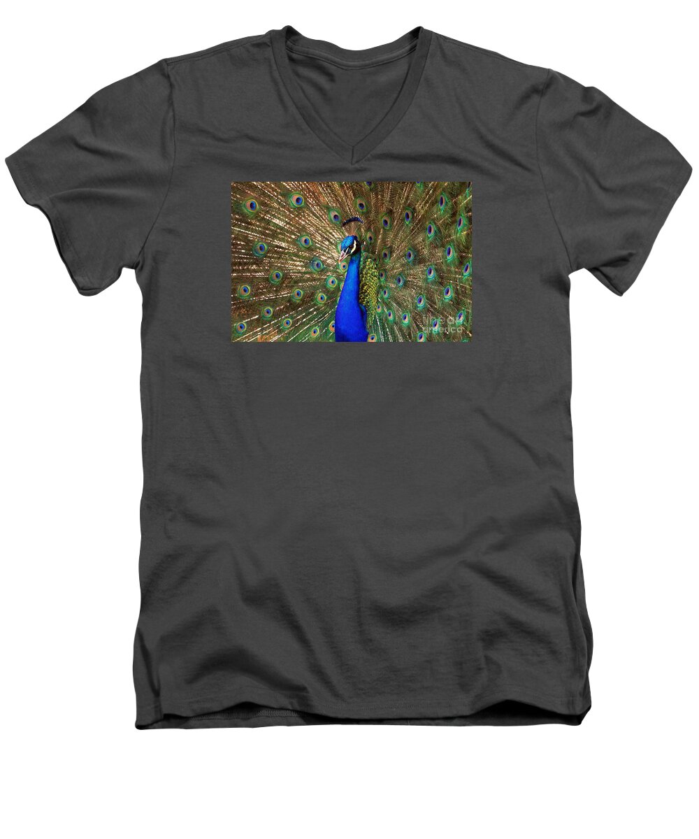 Bird Men's V-Neck T-Shirt featuring the photograph His Majesty by Geraldine DeBoer