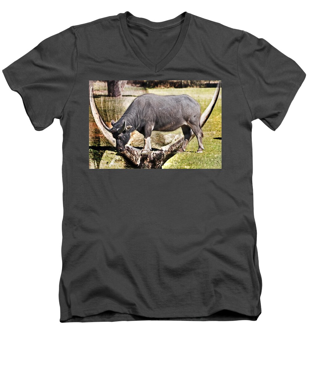 #water Buffalo Men's V-Neck T-Shirt featuring the photograph Horn of a Buffallo by Miroslava Jurcik
