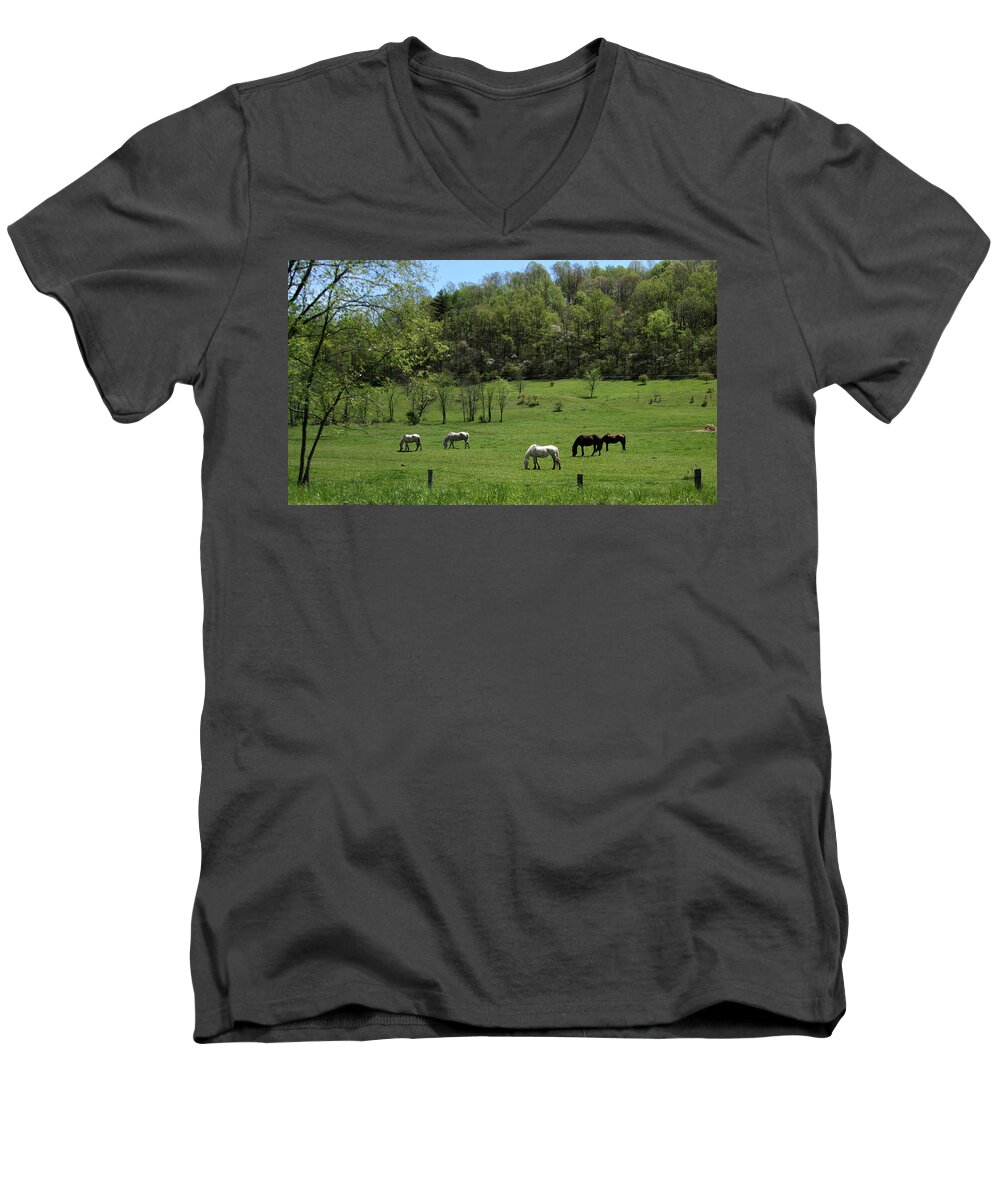 Green Pasture Men's V-Neck T-Shirt featuring the photograph Horse 27 by David Yocum
