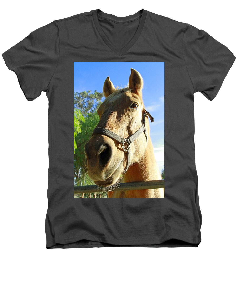 Horse Men's V-Neck T-Shirt featuring the photograph Horse Face by Shoal Hollingsworth