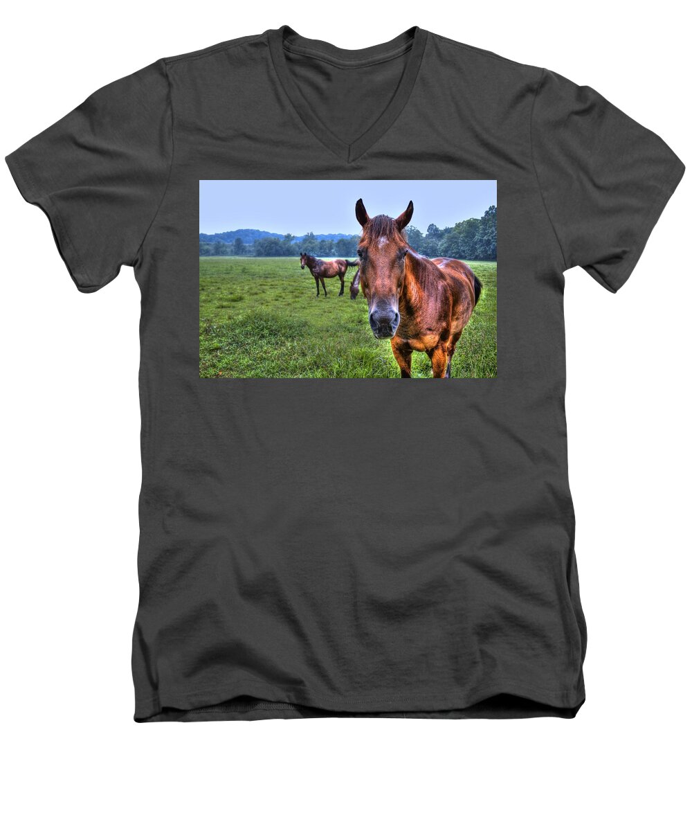 Horse Men's V-Neck T-Shirt featuring the photograph Horses in a Field by Jonny D