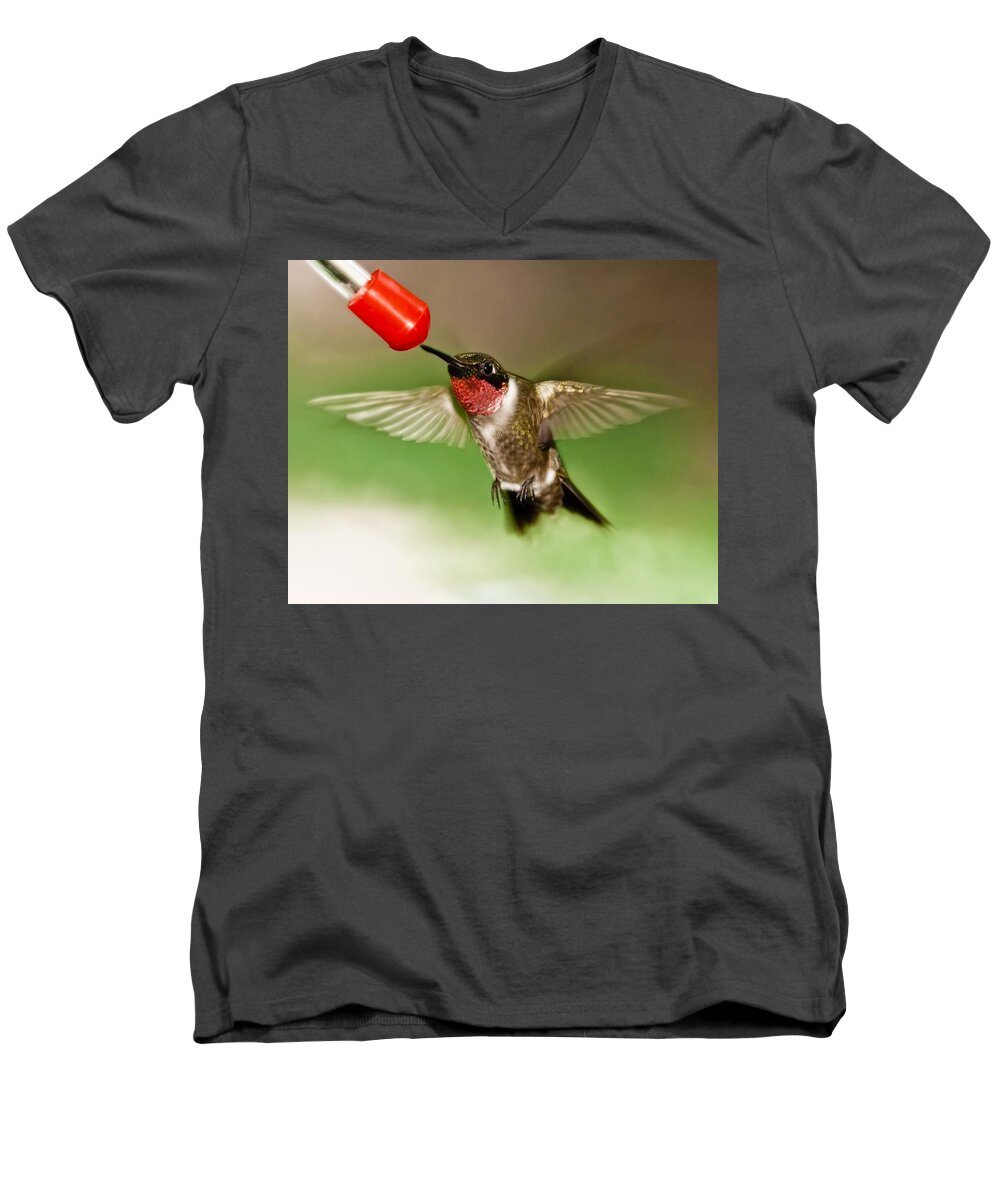 Hummingbird Men's V-Neck T-Shirt featuring the photograph Hummingbird by Robert L Jackson