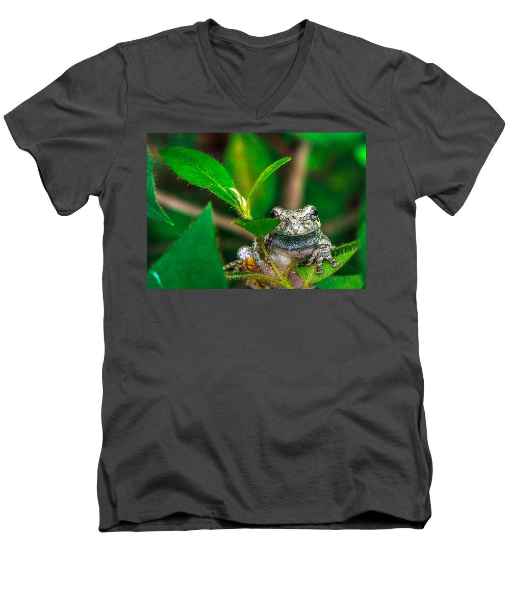 Frog Men's V-Neck T-Shirt featuring the photograph Hyla versicolor by Traveler's Pics
