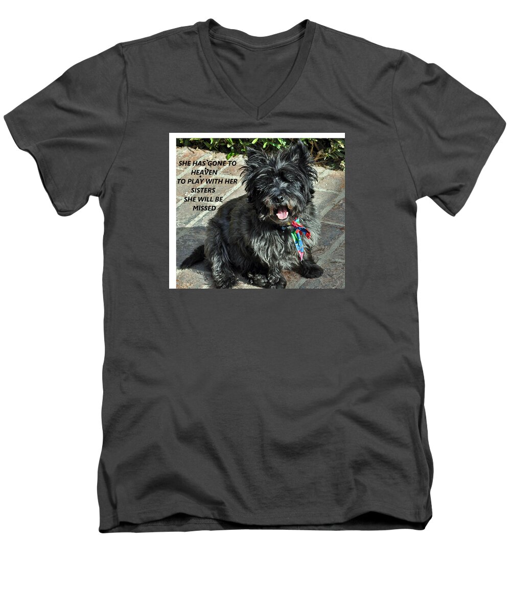 Dog Men's V-Neck T-Shirt featuring the photograph In Memory Of Her by Jay Milo