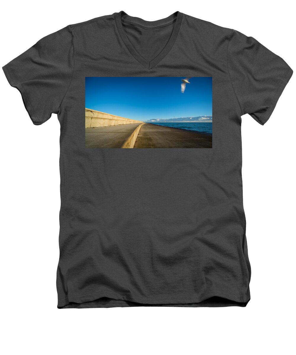 Gull Men's V-Neck T-Shirt featuring the photograph In Motion by David Downs