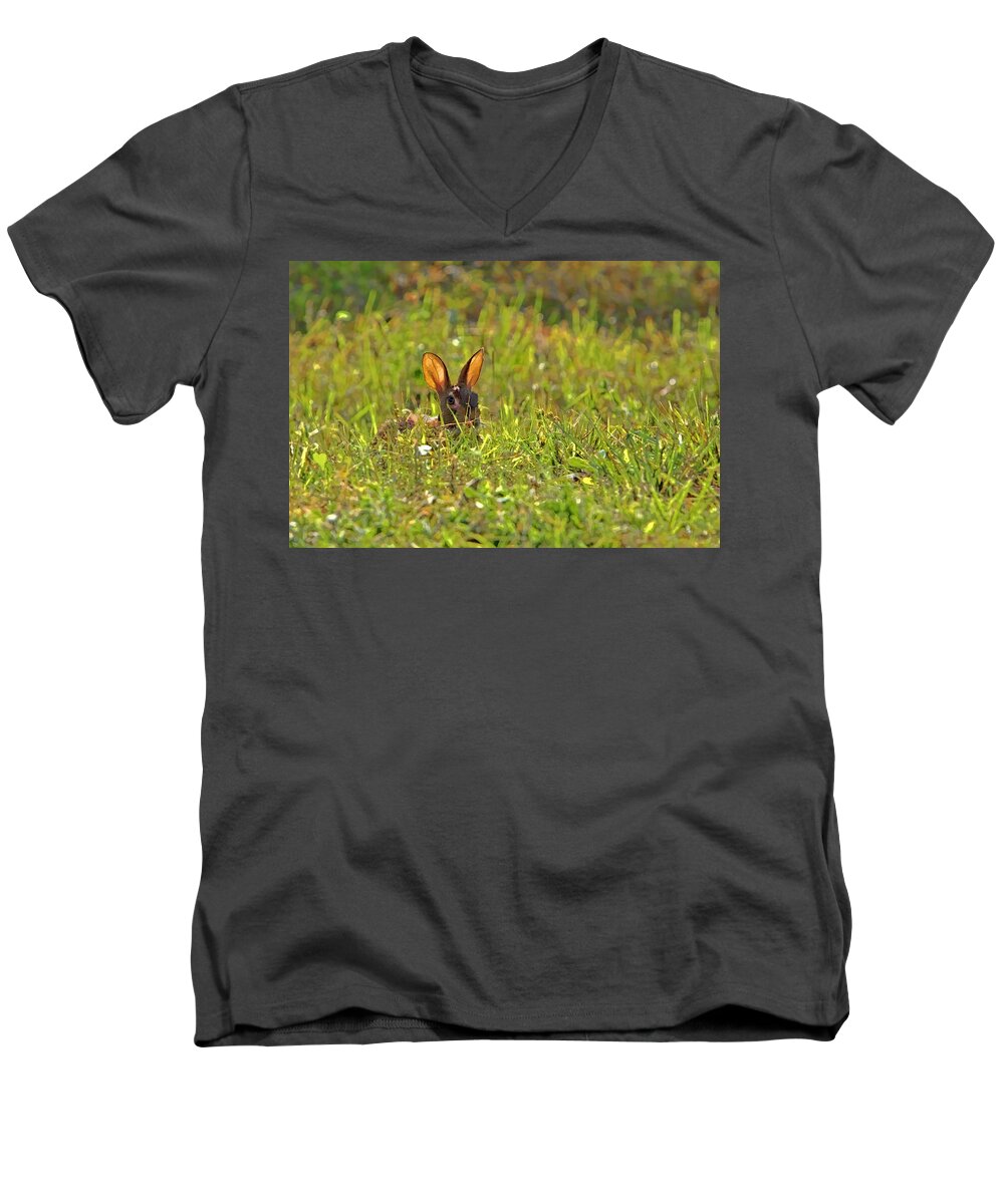 Island Men's V-Neck T-Shirt featuring the photograph Inconspicuous by Gary Holmes