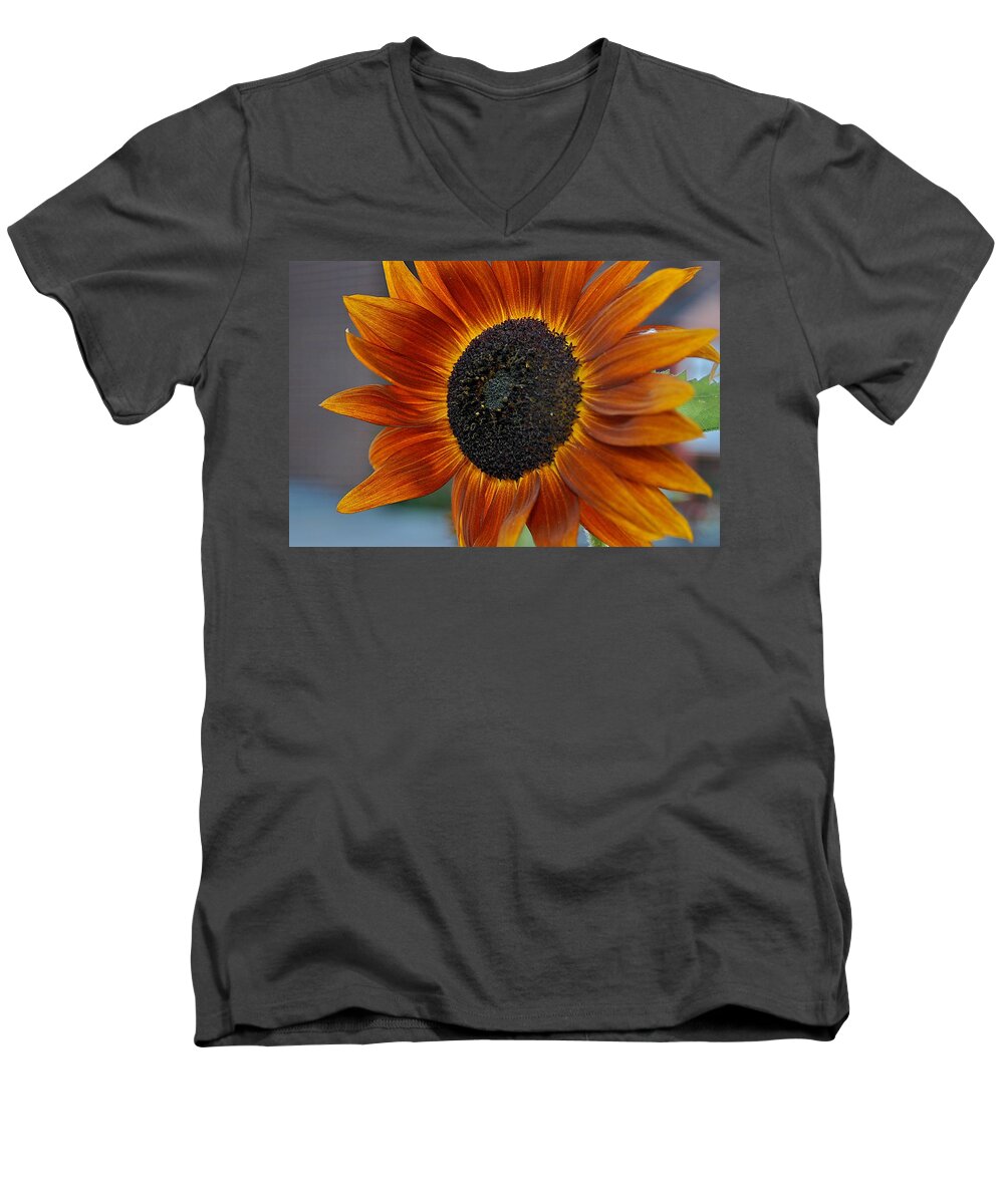 Orange Sunflower Men's V-Neck T-Shirt featuring the photograph Isabella Sun by Joseph Yarbrough