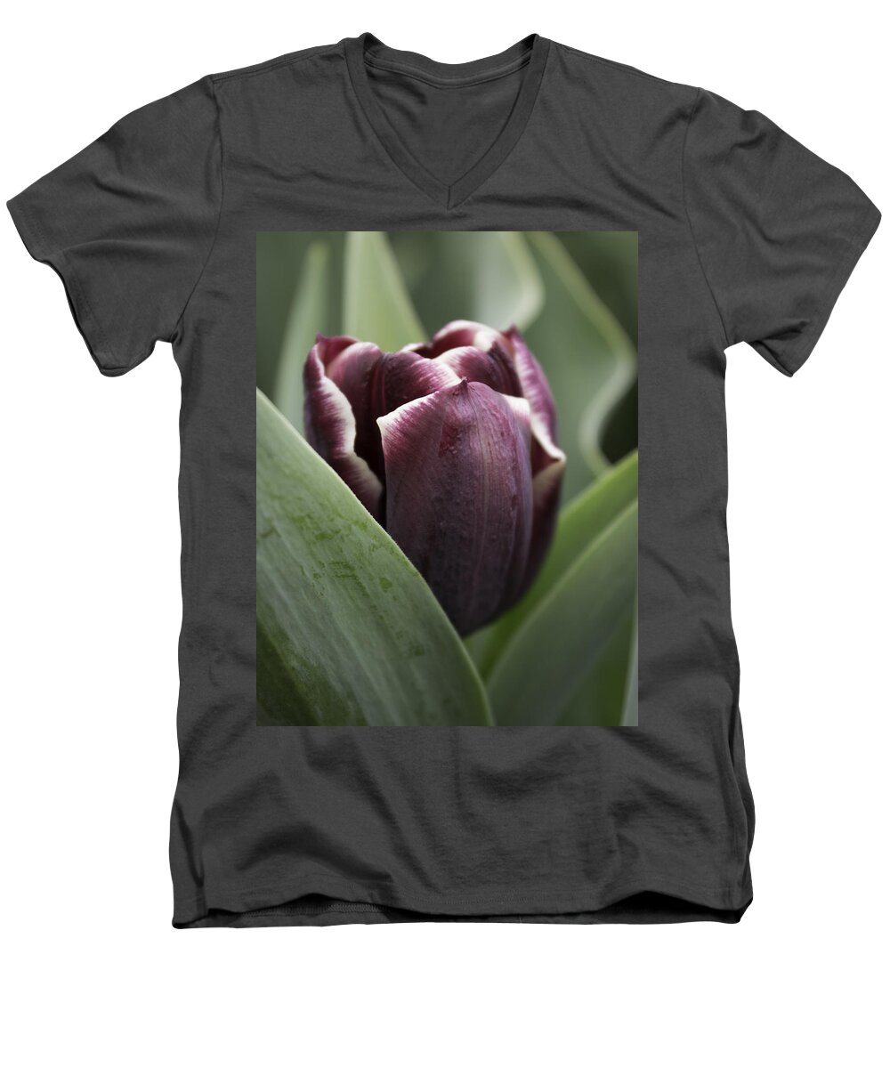 Skompski Men's V-Neck T-Shirt featuring the photograph Jackpot Tulip by Joseph Skompski