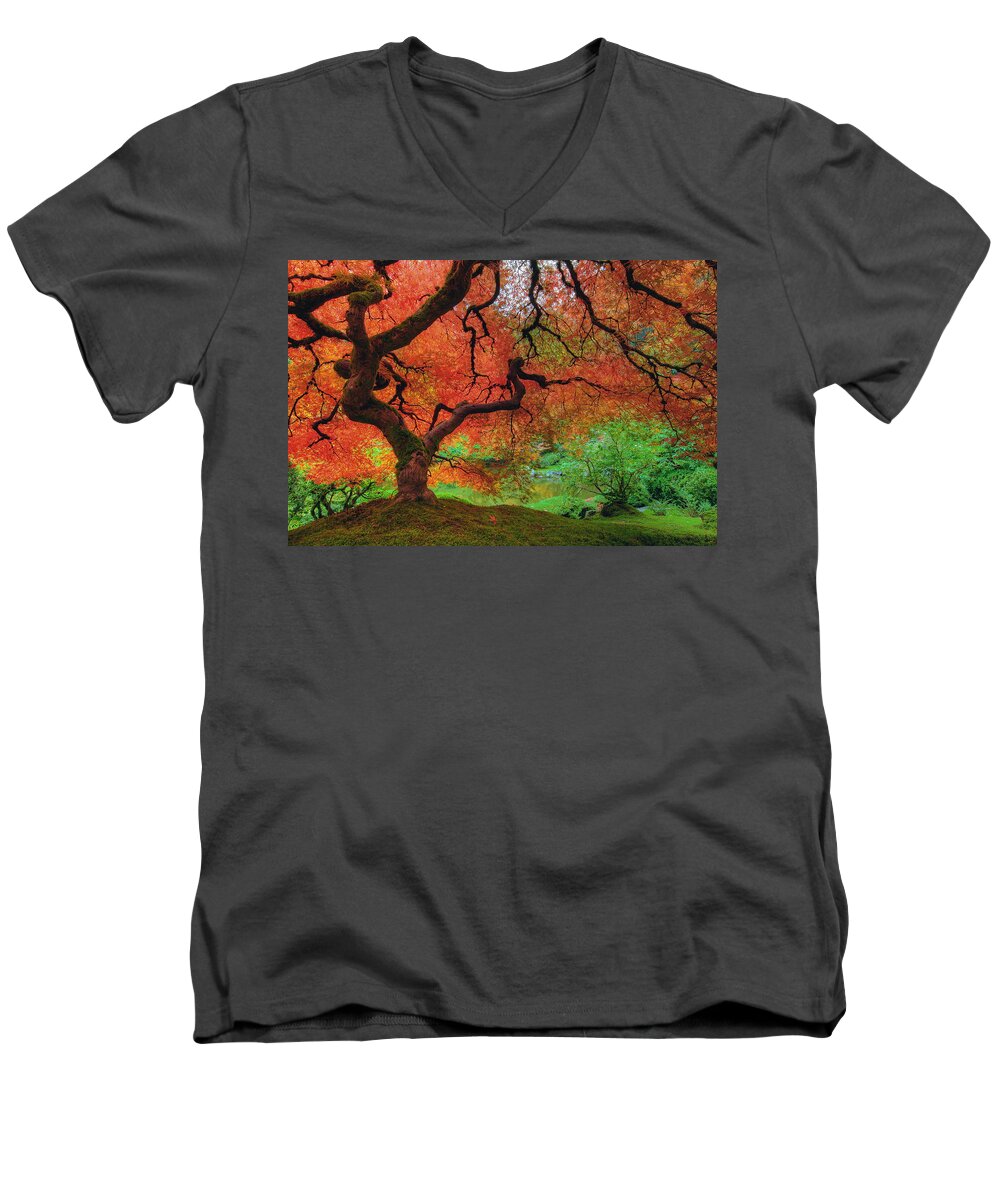 Portland Men's V-Neck T-Shirt featuring the photograph Japanese Maple Tree in Autumn by David Gn