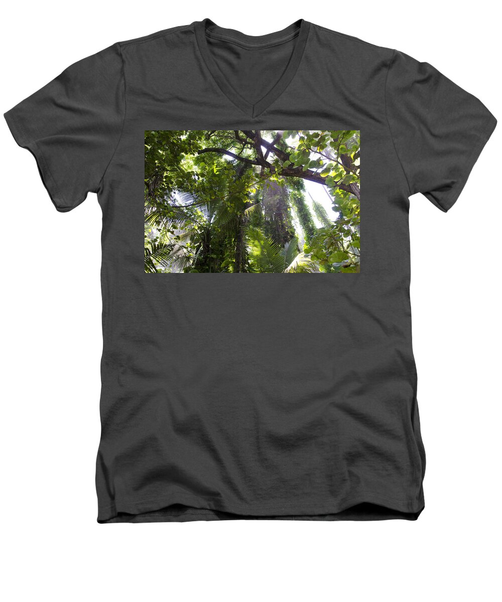 Hawaii Men's V-Neck T-Shirt featuring the photograph Jungle Canopy by Daniel Murphy
