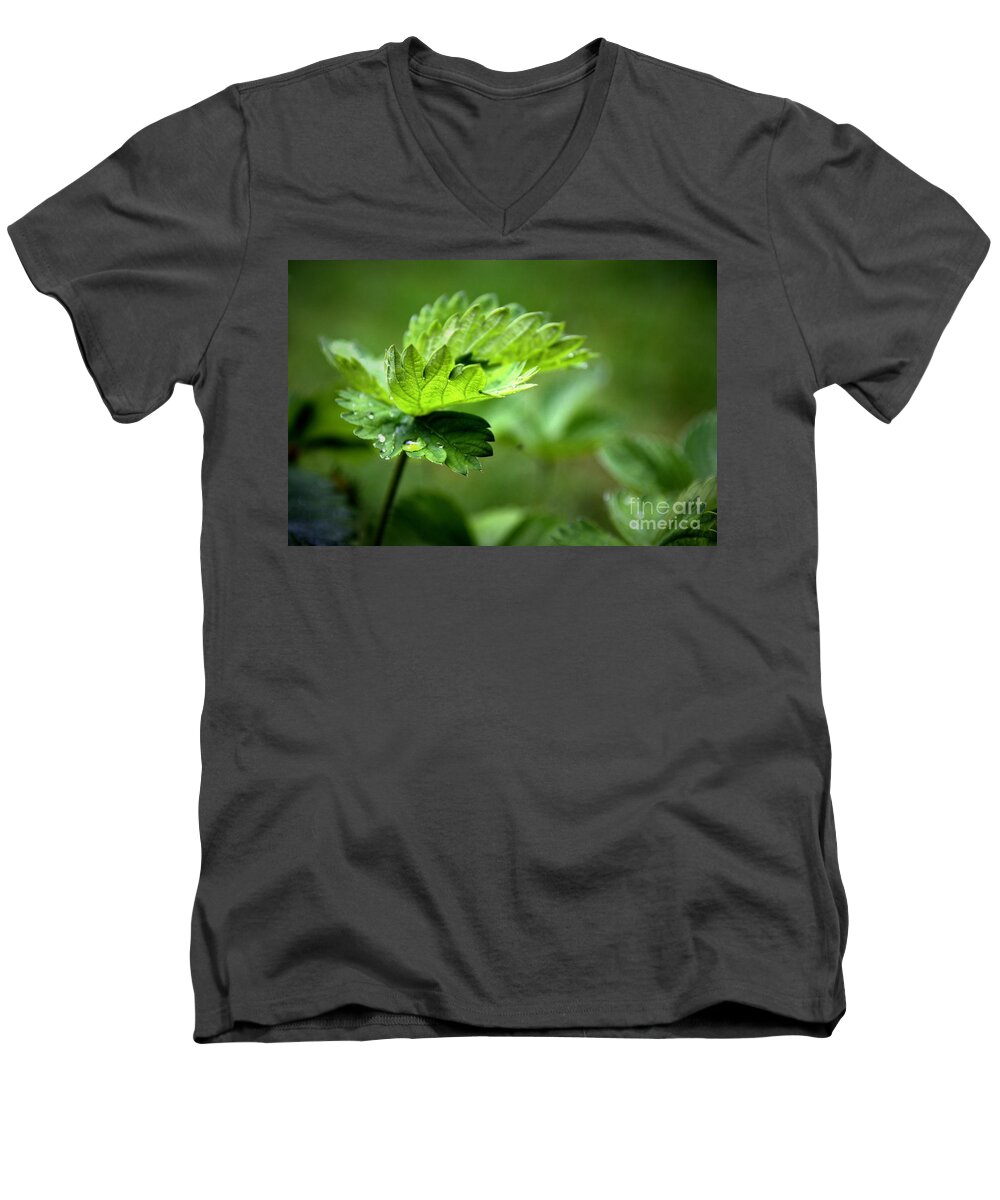 Green Men's V-Neck T-Shirt featuring the photograph Just Green by Jeremy Hayden
