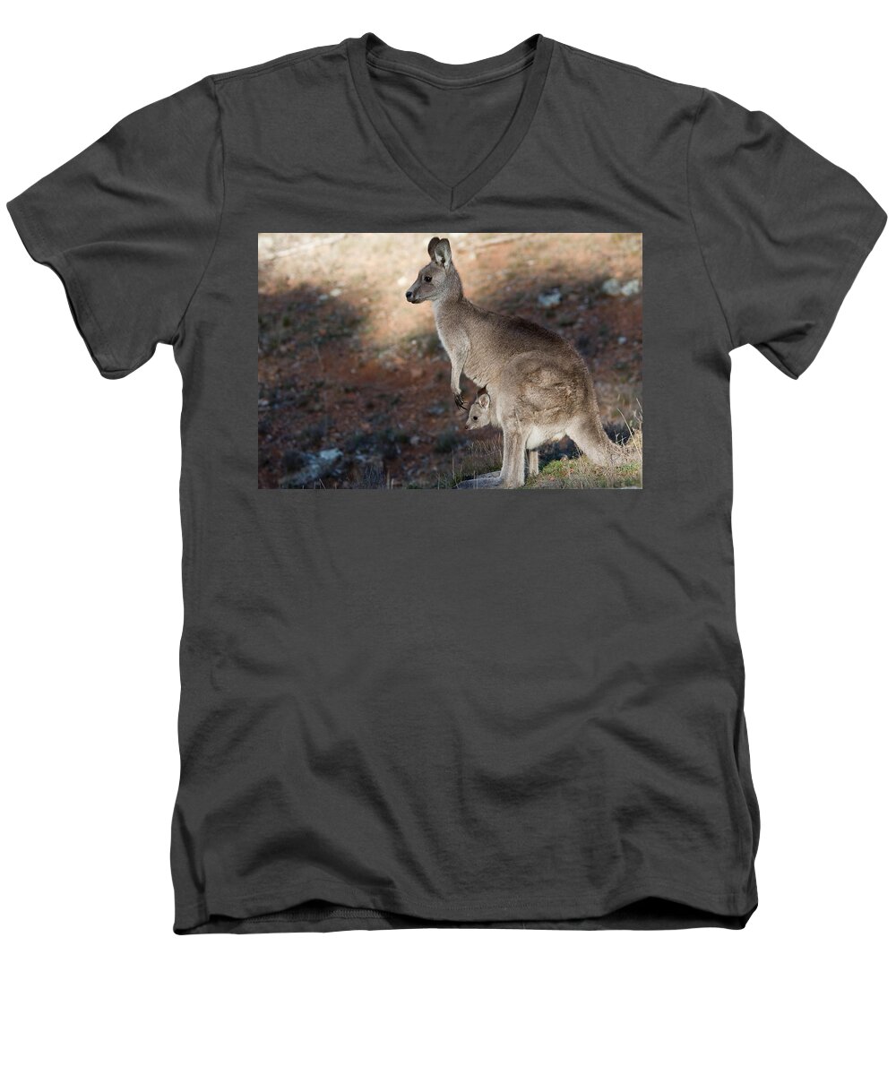 Australia Men's V-Neck T-Shirt featuring the photograph Kangaroo and joey by Steven Ralser
