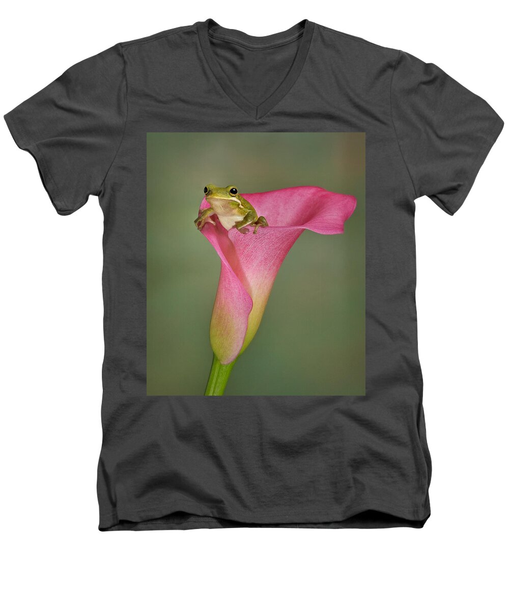 Calla Men's V-Neck T-Shirt featuring the photograph Kermit Peeking Out by Susan Candelario