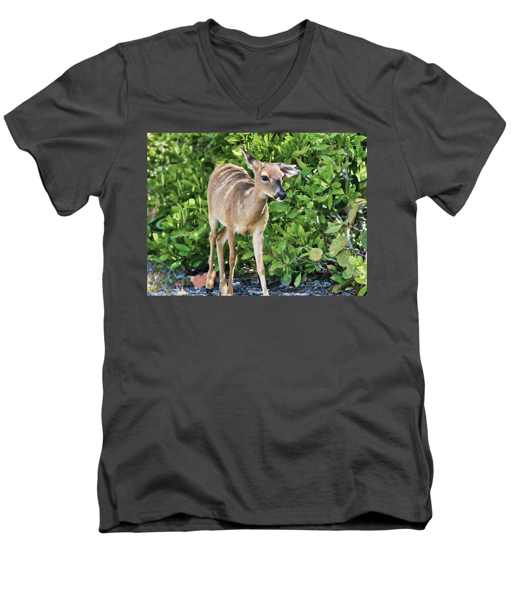 Deer Men's V-Neck T-Shirt featuring the photograph Key Deer Cuteness by Deborah Benoit